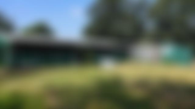 North Norfolk Cats Lifeline Trust | Charici