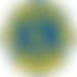 Holsworthy Lions Club (Cio) | Charici