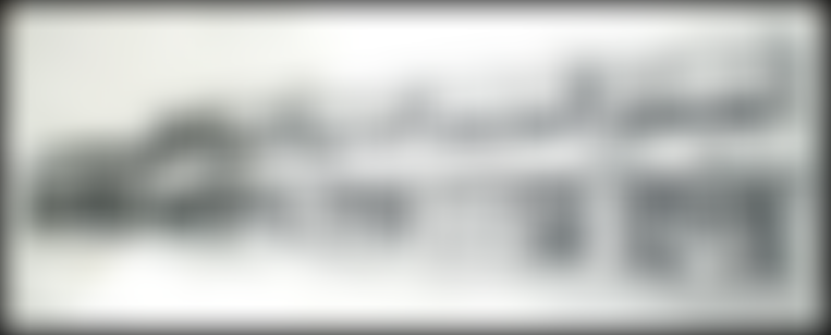 Mister Gees Foundation | Charici