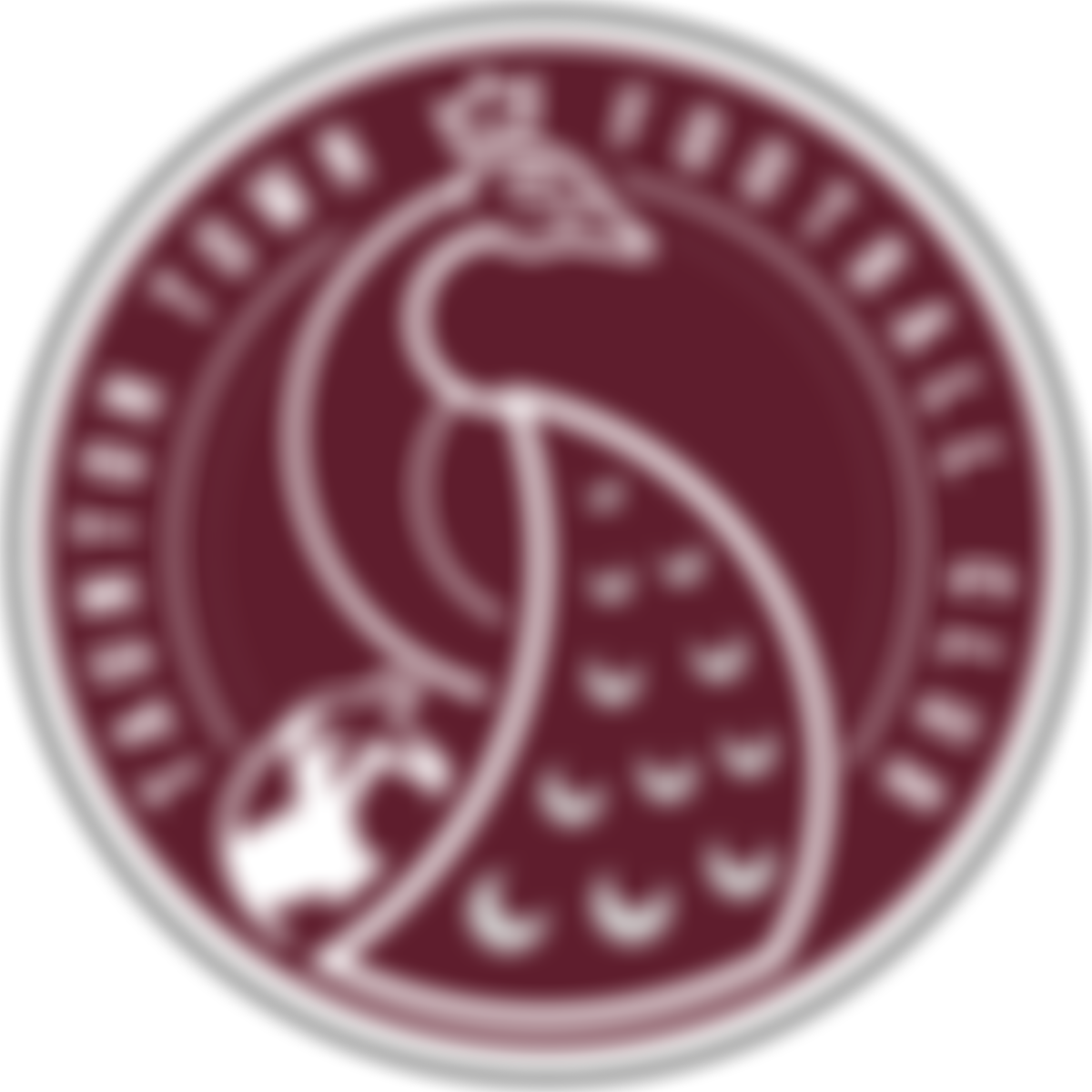 Taunton Youth Fc Community Trust | Charici