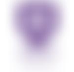 Haddon Charity For Performing Arts | Charici