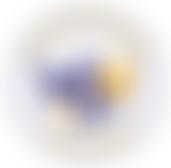 The Javan Coker Foundation | Charici