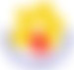 Cornwall Leukaemia Trust | Charici