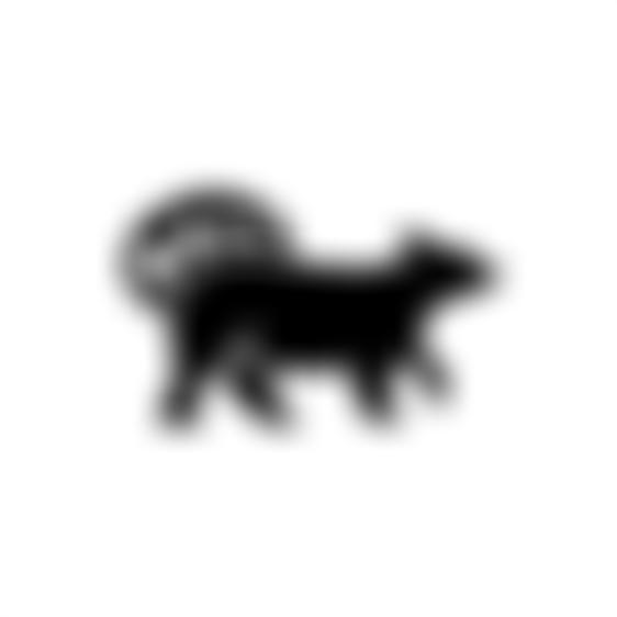 Cam And Bear Fund For Adventure | Charici