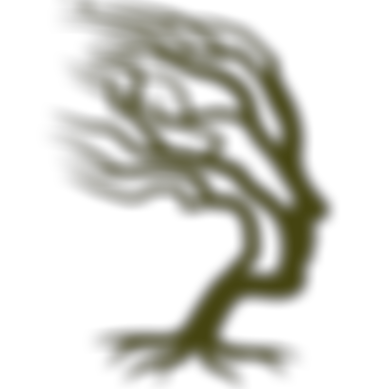 The Olive Trust | Charici