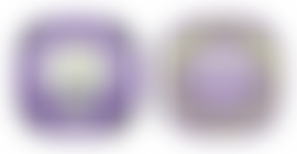 The Lymm Sanctuary Hub Limited | Charici