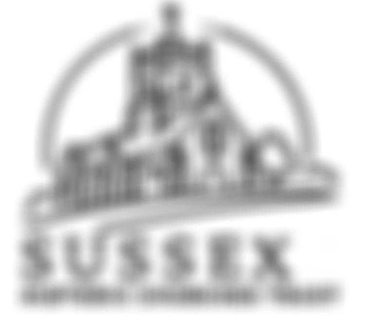 The Sussex Historic Churches Trust | Charici