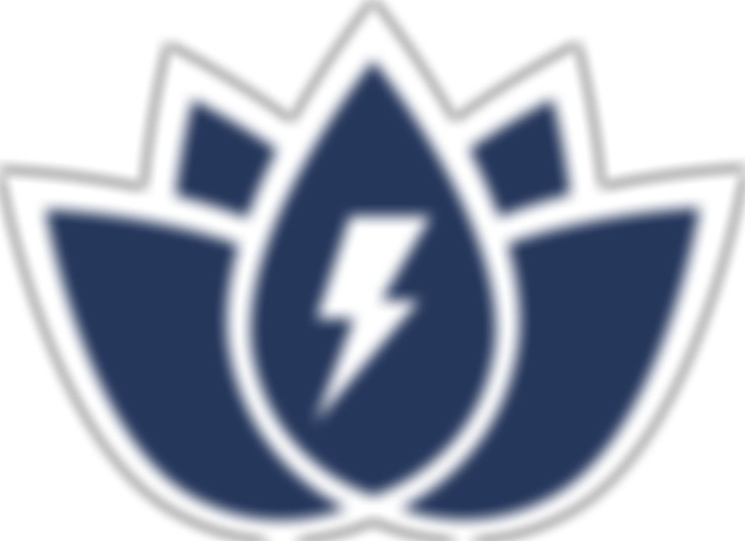 Lotus Project | Charici