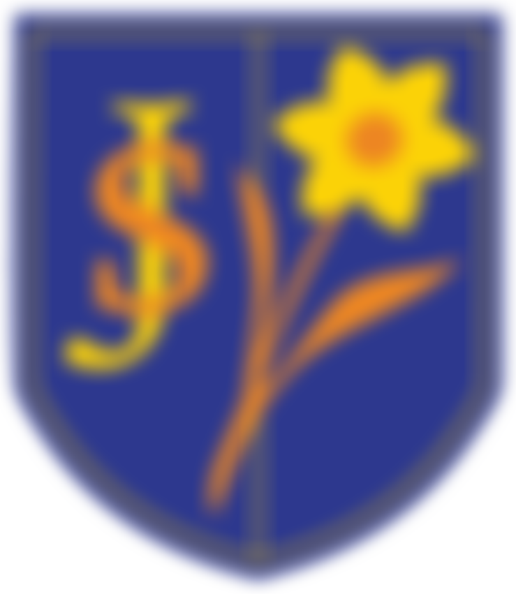 St Joseph's Catholic Primary School Parent, Teachers And Friends Association | Charici