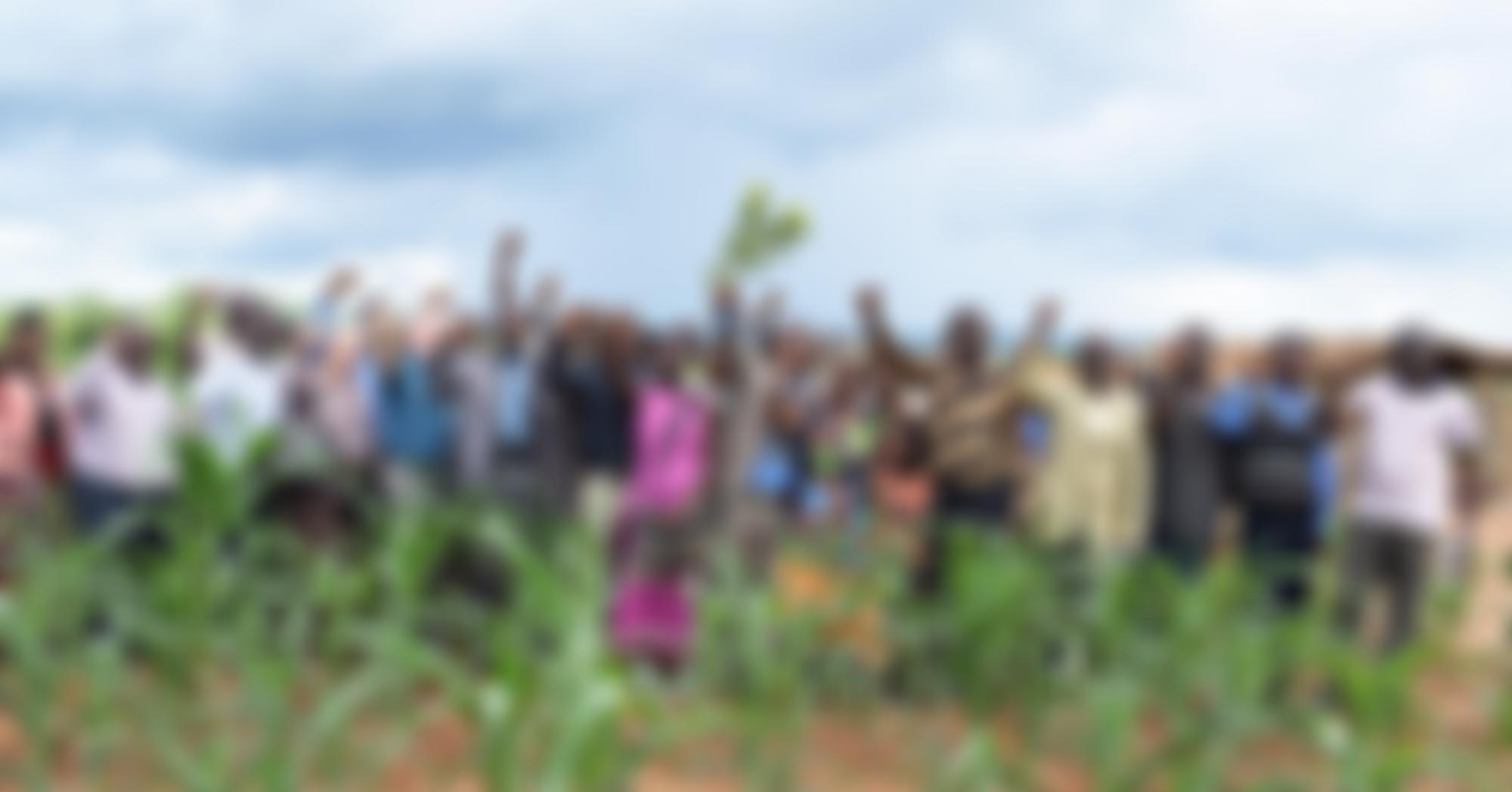 With International Community | Charici