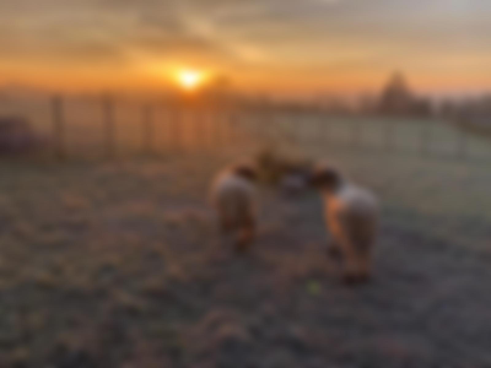 Empowering Futures | Charici