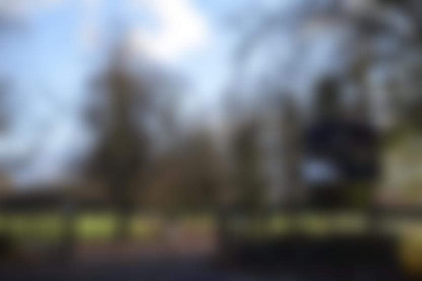 The Friends Of Platt Fields | Charici