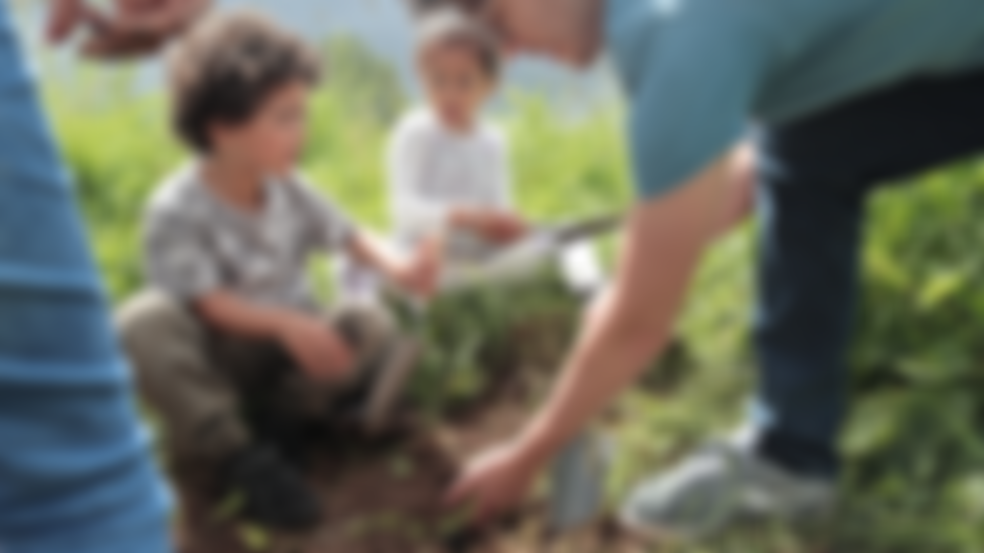 Bristol And Bath Parks Foundation | Charici