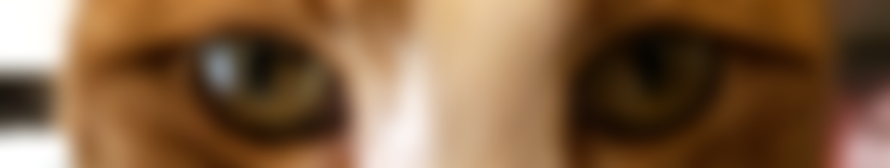 The Adrian Derbyshire Foundation | Charici