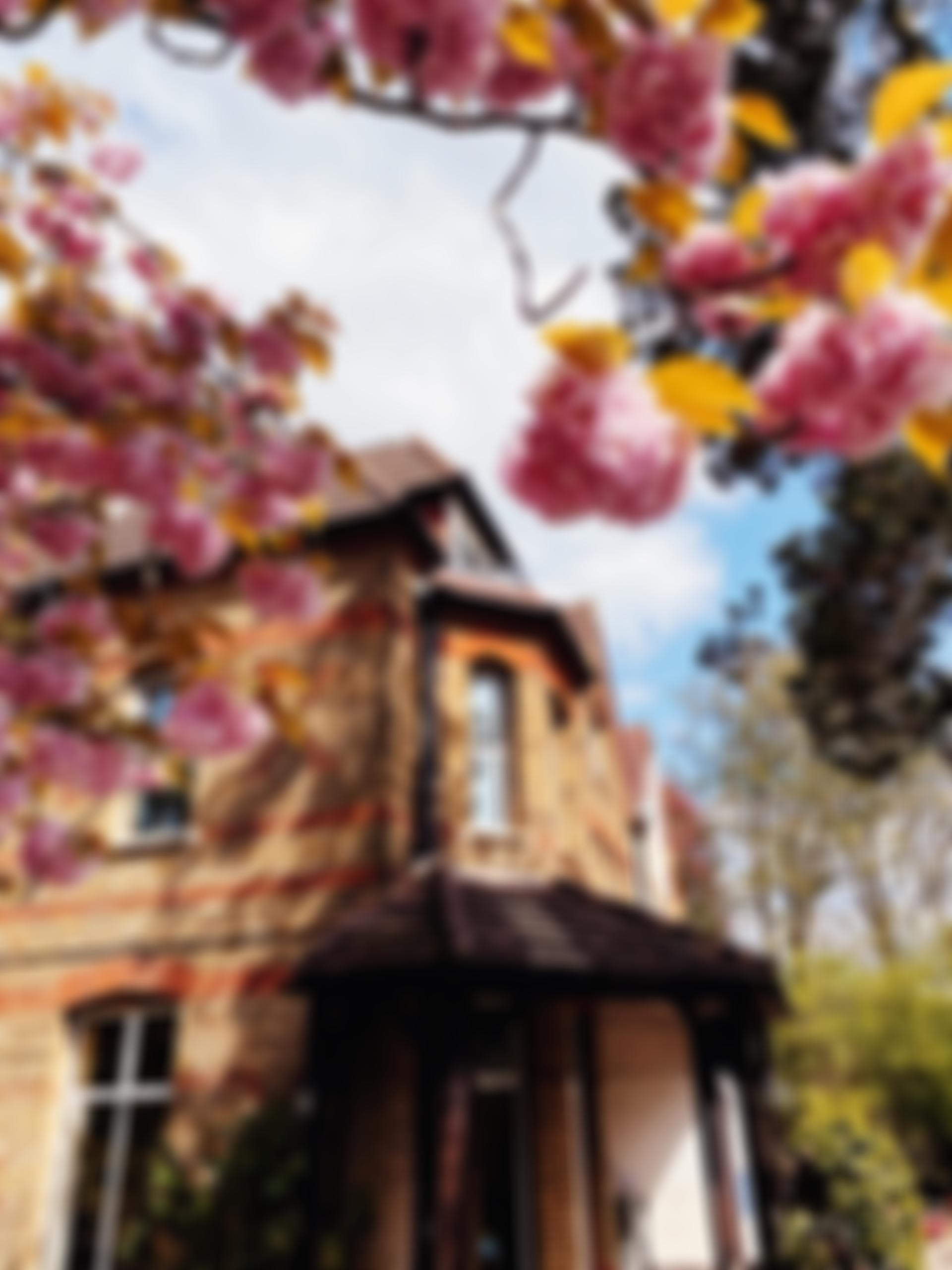 The Norwegian School In London Limited | Charici