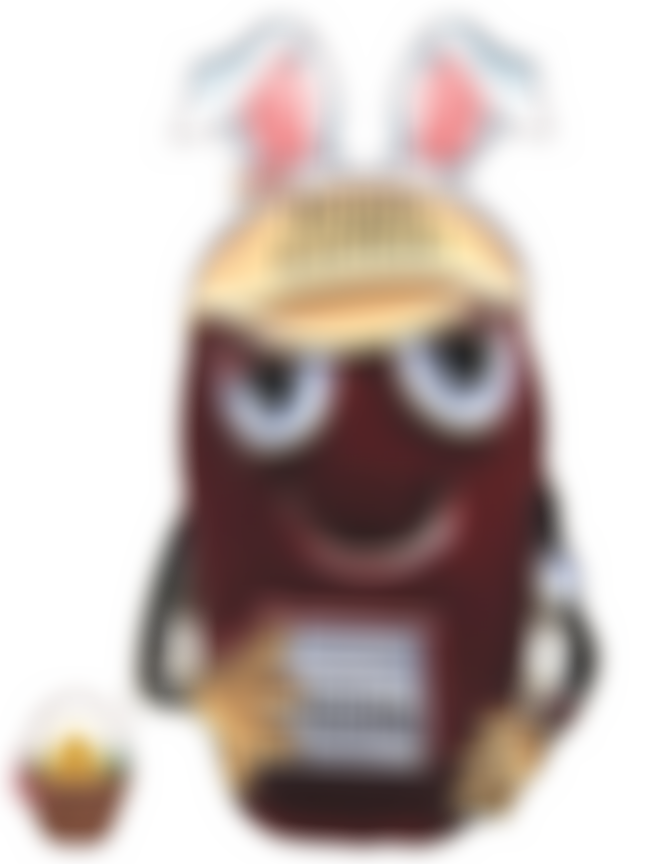 Six Counties Kidney Patients' Association | Charici