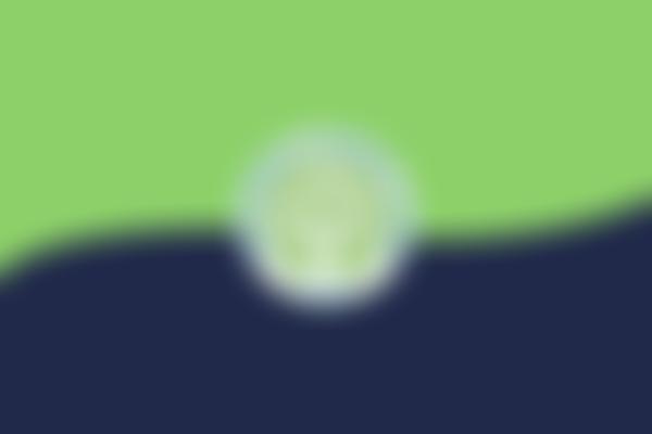 Friends Of Grayswood School | Charici