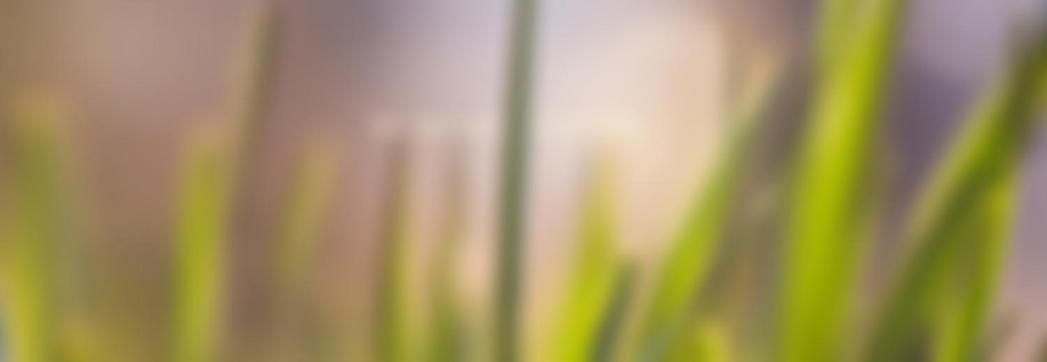 The Parochial Church Council Of The Ecclesiastical Parish Of Holy Trinity Stapleton Bristol | Charici