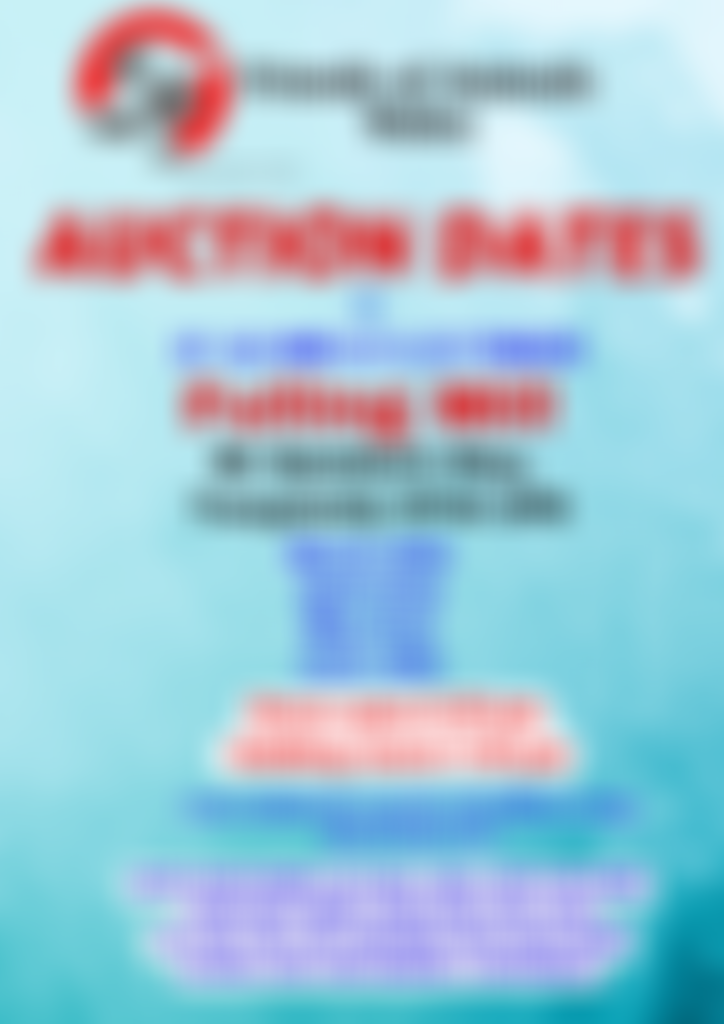 Friends Of Animals Wales | Charici