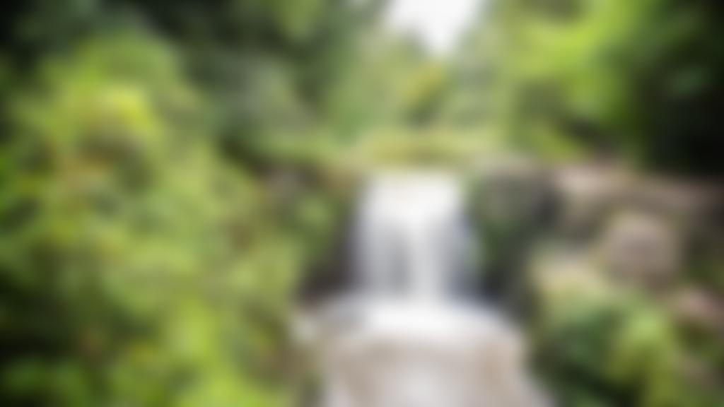 Urban Green Newcastle | Charici