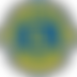 Weston-Super-Mare Lions Club (Cio) | Charici