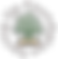 Spring Up Foundation | Charici