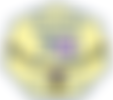 9Th Kenton Scout Group | Charici