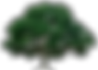 South Carshalton Seniors Centre | Charici