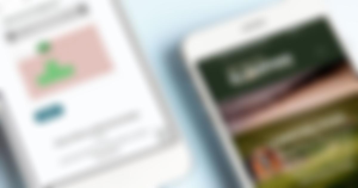 Friends Of Sandside Lodge | Charici