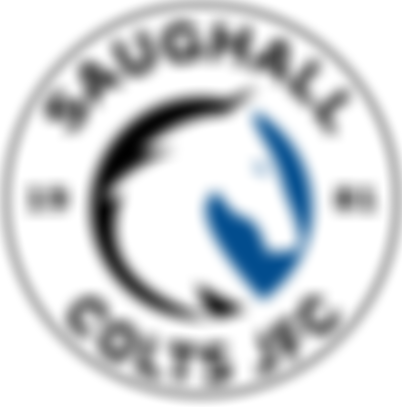 Saughall Colts Junior Football Club | Charici