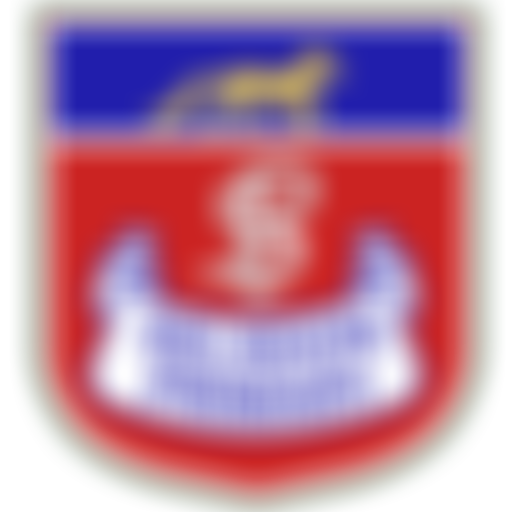 Selsdon Primary School And Nursery P.t.a. | Charici