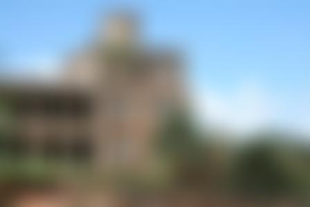 The Ex Fide Fiducia Trust | Charici