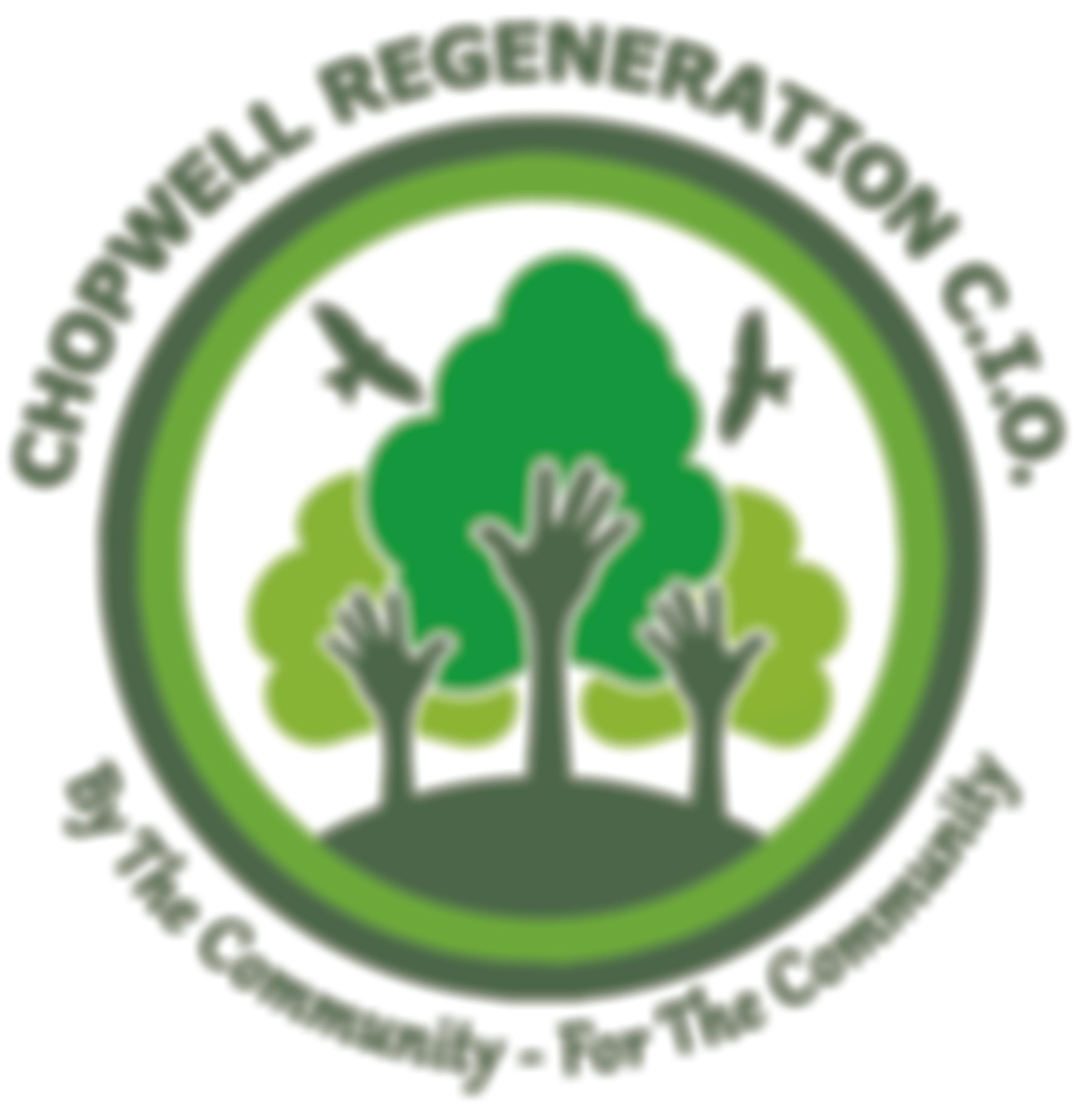 Chopwell Regeneration Cio | Charici