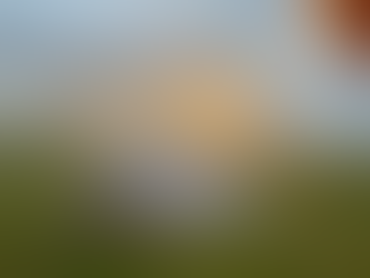 The Nepal Development Association | Charici