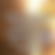 Jarjeer Mule And Donkey Trust | Charici