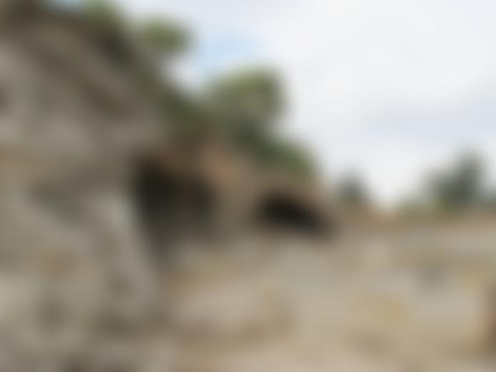 Archaeolink | Charici