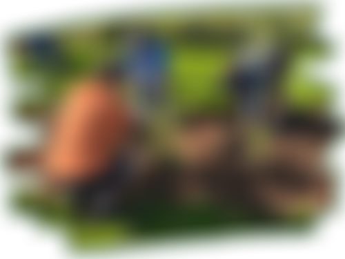 Veterans' Growth | Charici