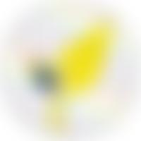 Heavers Farm Primary School Parent Teacher Association | Charici