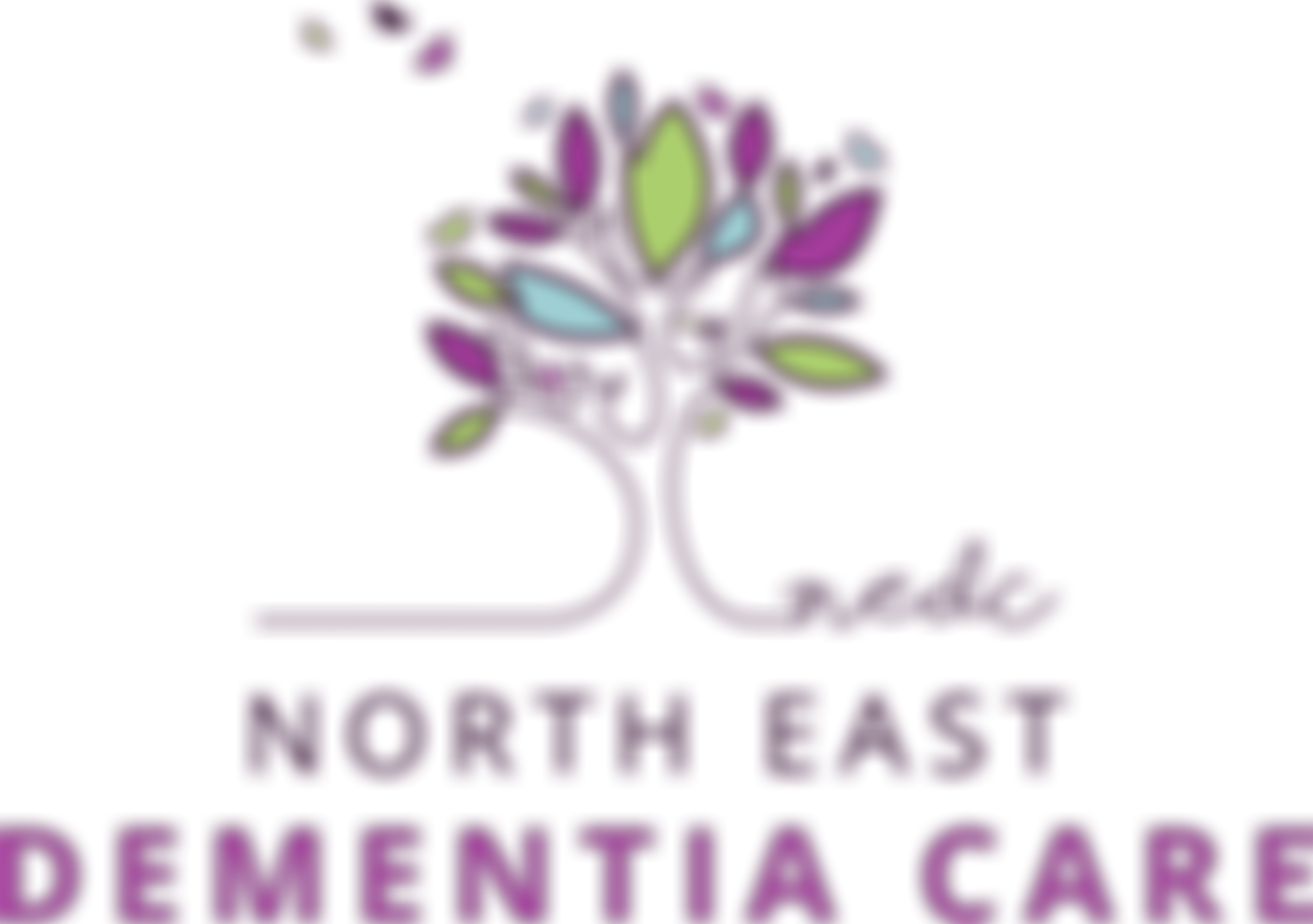 North East Dementia Care (Sunderland) Cio | Charici