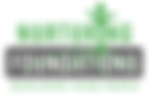 Nurturing Foundations | Charici