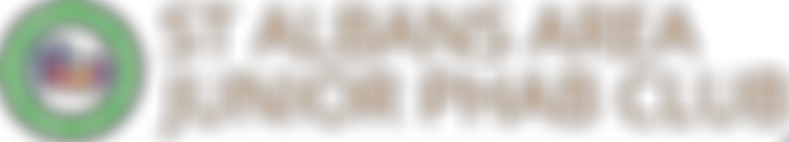 St Albans Area Junior Phab Club | Charici