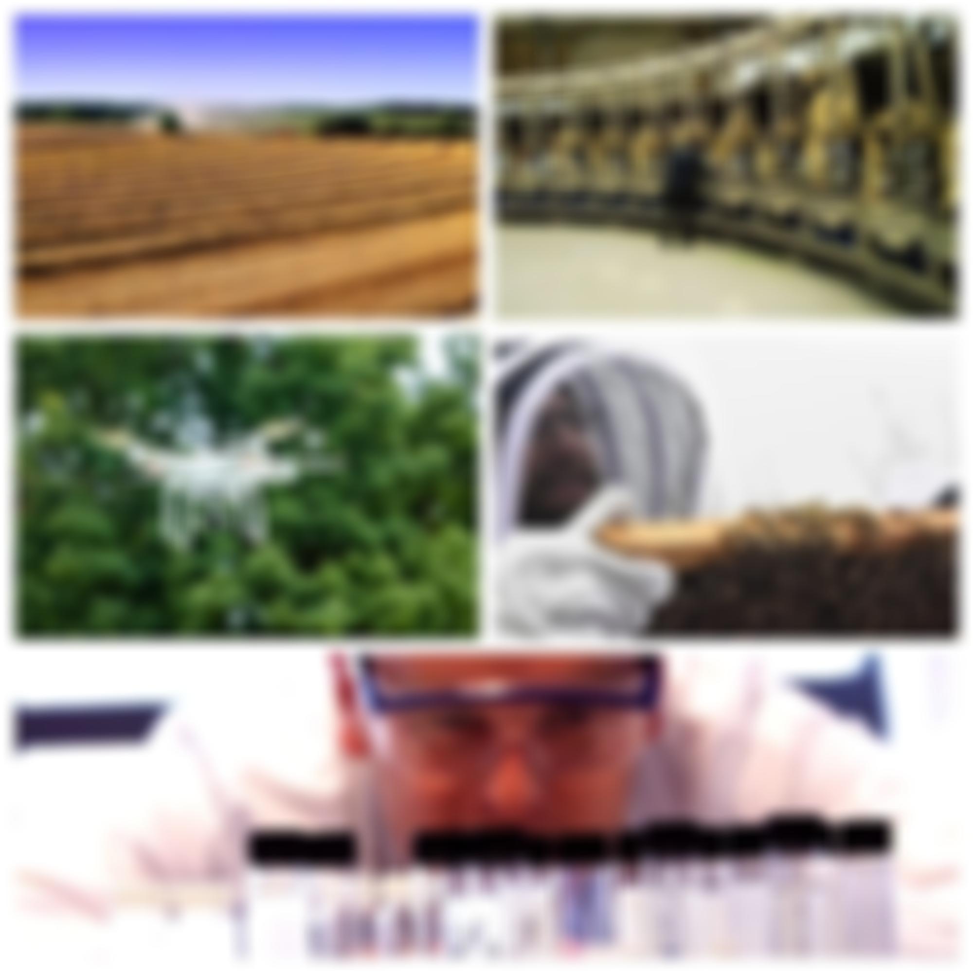 The Farmers' Club Charitable Trust | Charici