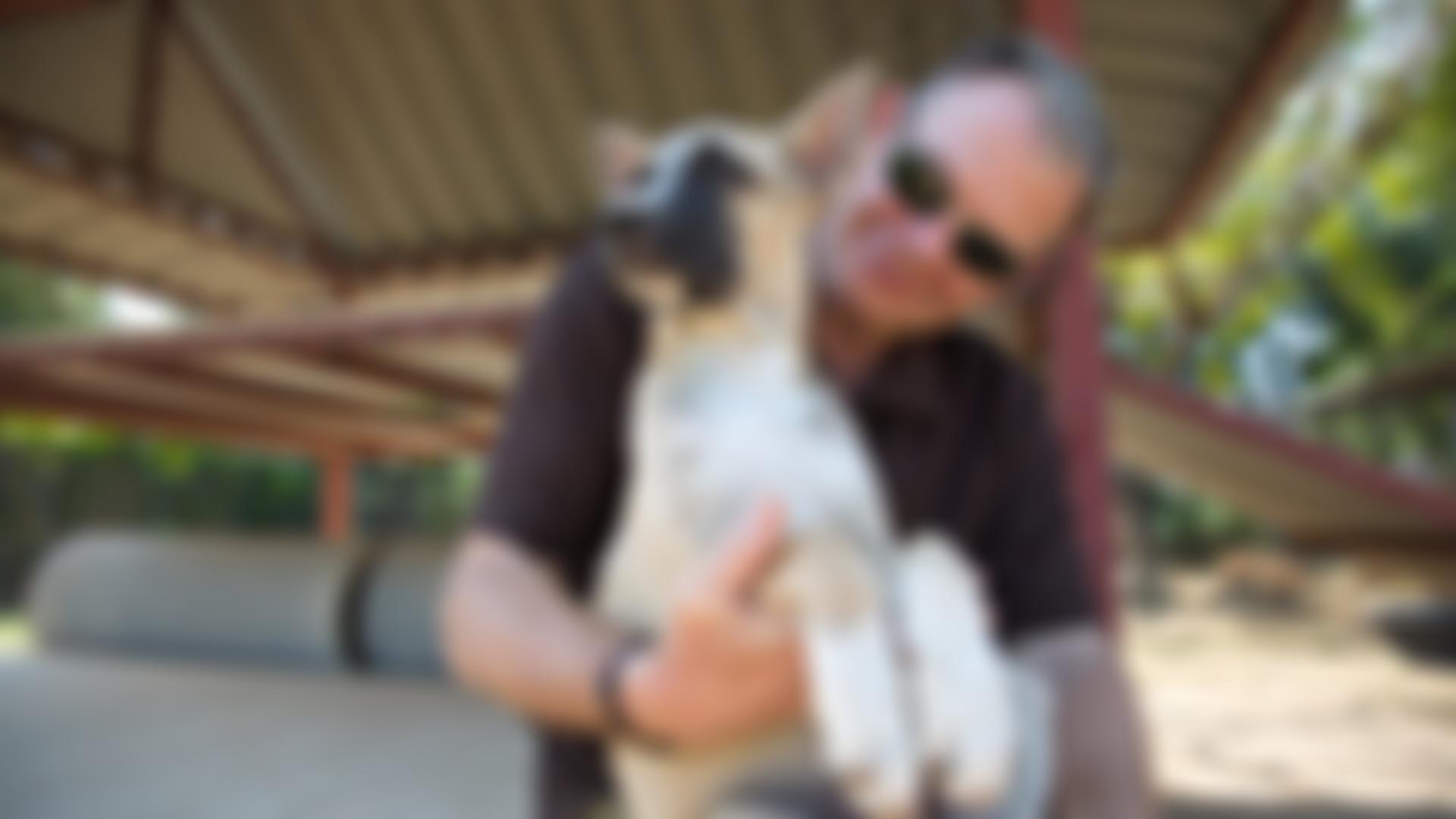 Dogs.n.homes Rescue | Charici