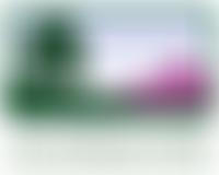 The Ashdown Forest Foundation | Charici