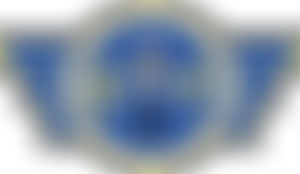 Enabled Archaeology Foundation | Charici