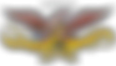 Southern Skirmish Association | Charici