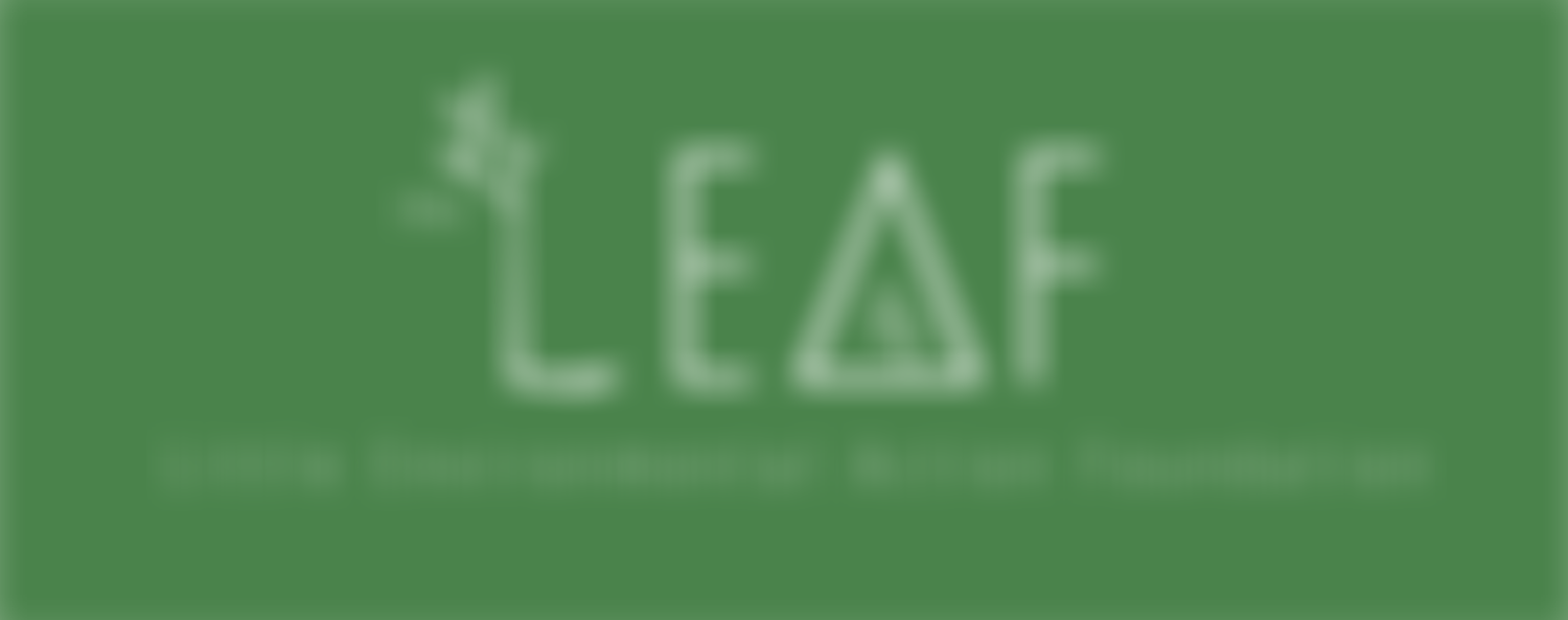 The Little Environmental Action Foundation | Charici