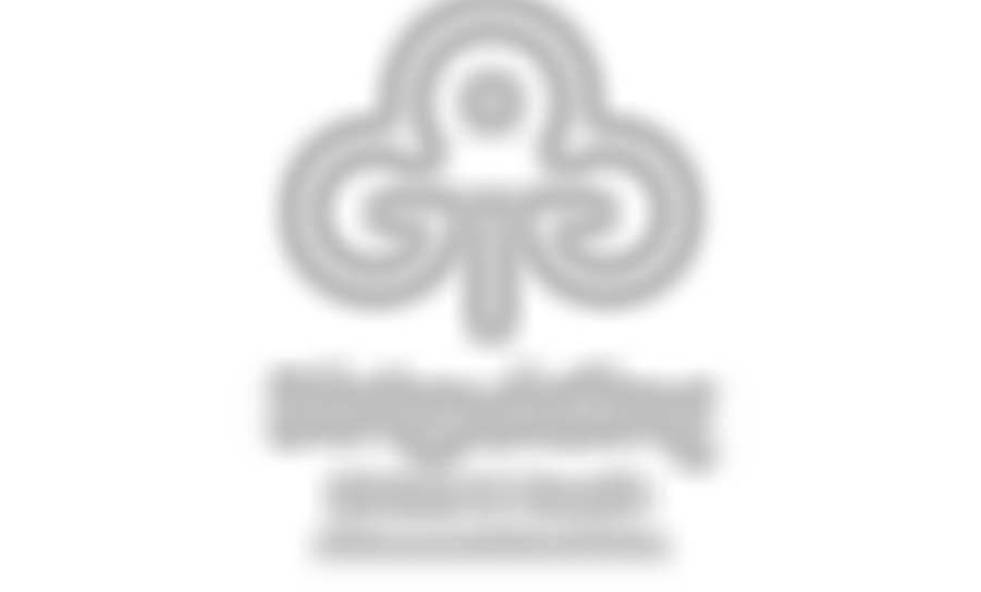 The Guide Association - Bristol And South Gloucestershire | Charici