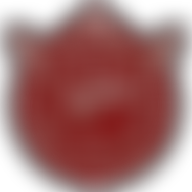 Glider Pilot Regiment Society | Charici
