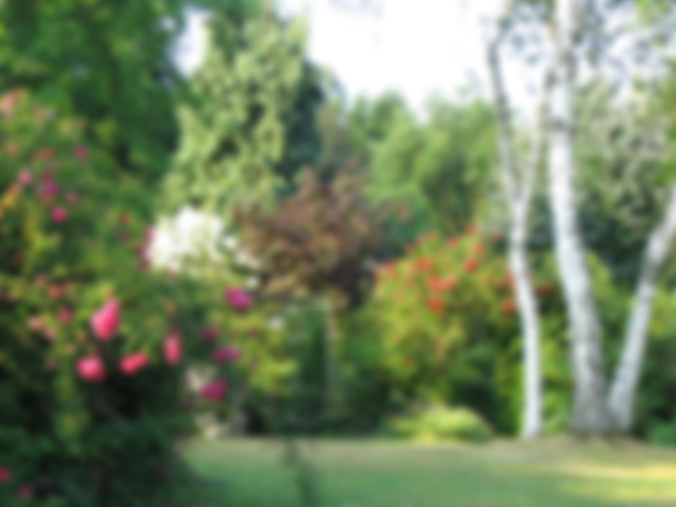 White House Farm Arboretum Foundation | Charici